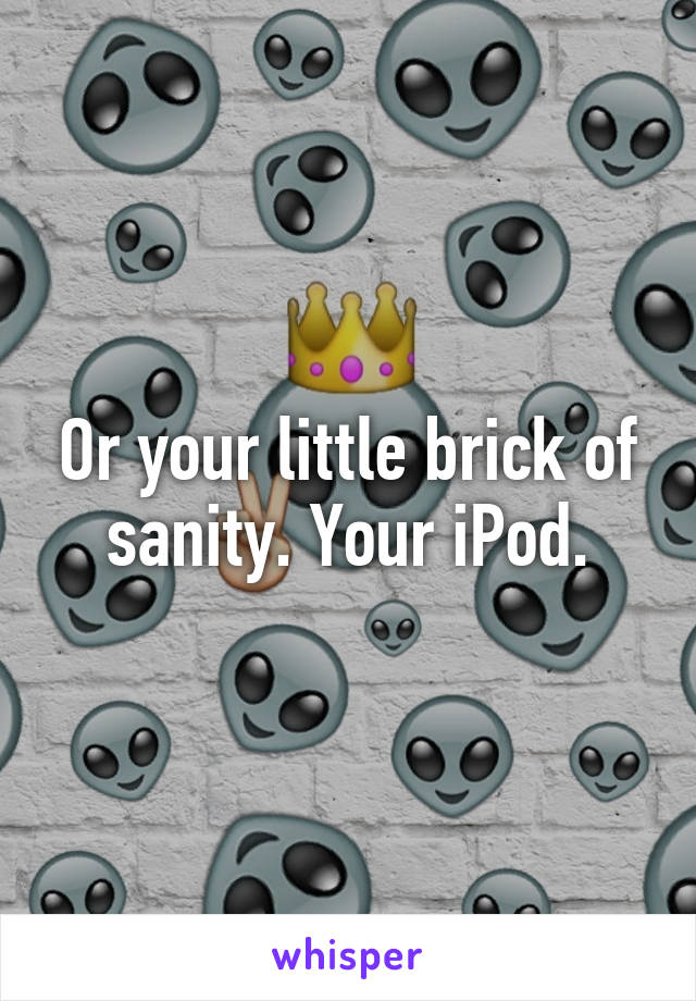 Or your little brick of sanity. Your iPod.
