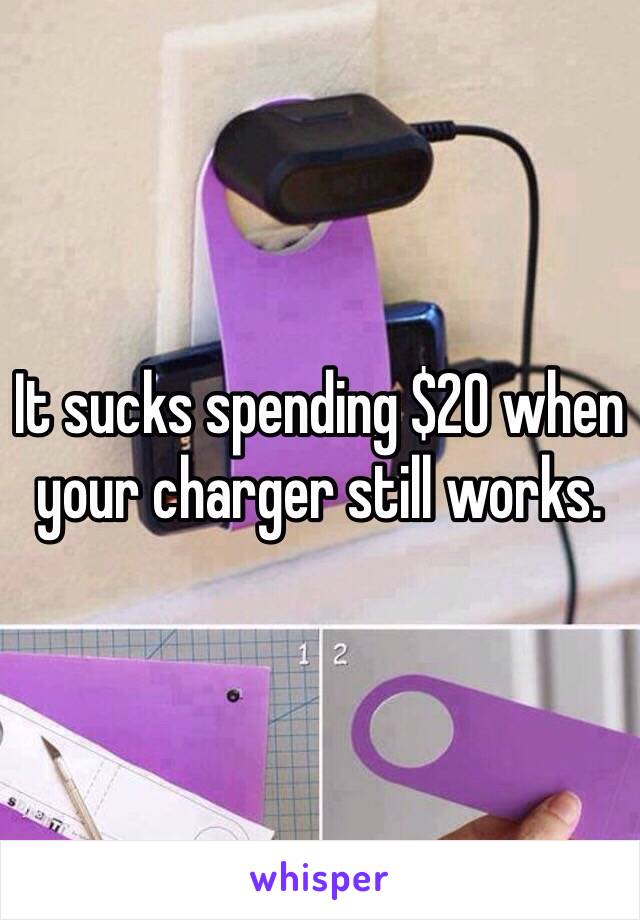 It sucks spending $20 when your charger still works.