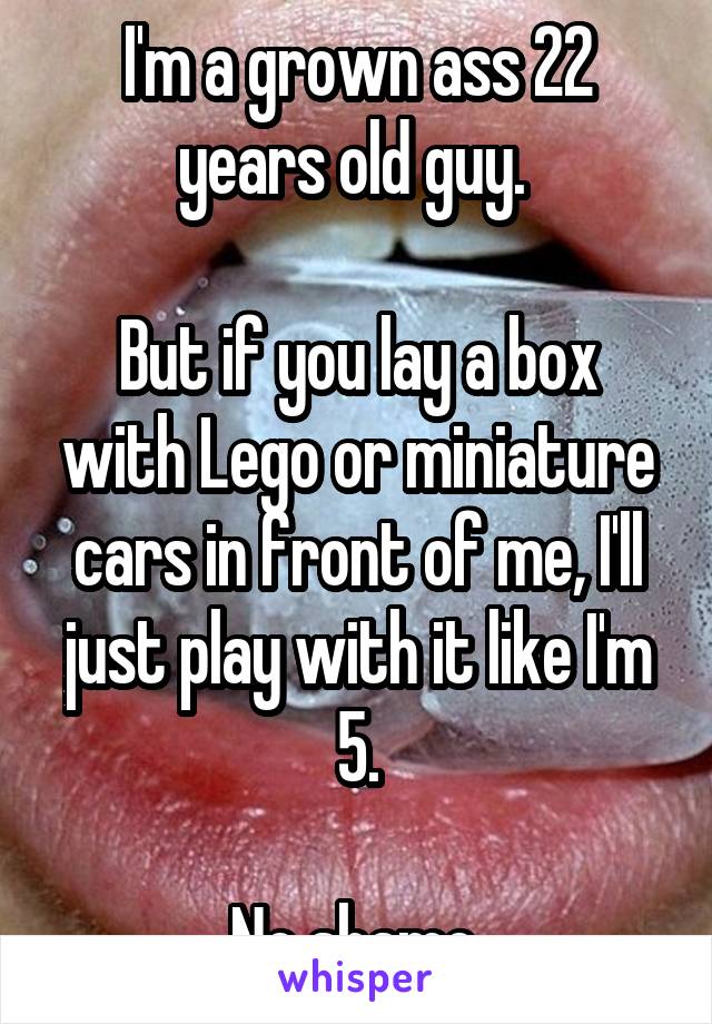 I'm a grown ass 22 years old guy. 

But if you lay a box with Lego or miniature cars in front of me, I'll just play with it like I'm 5.

No shame.