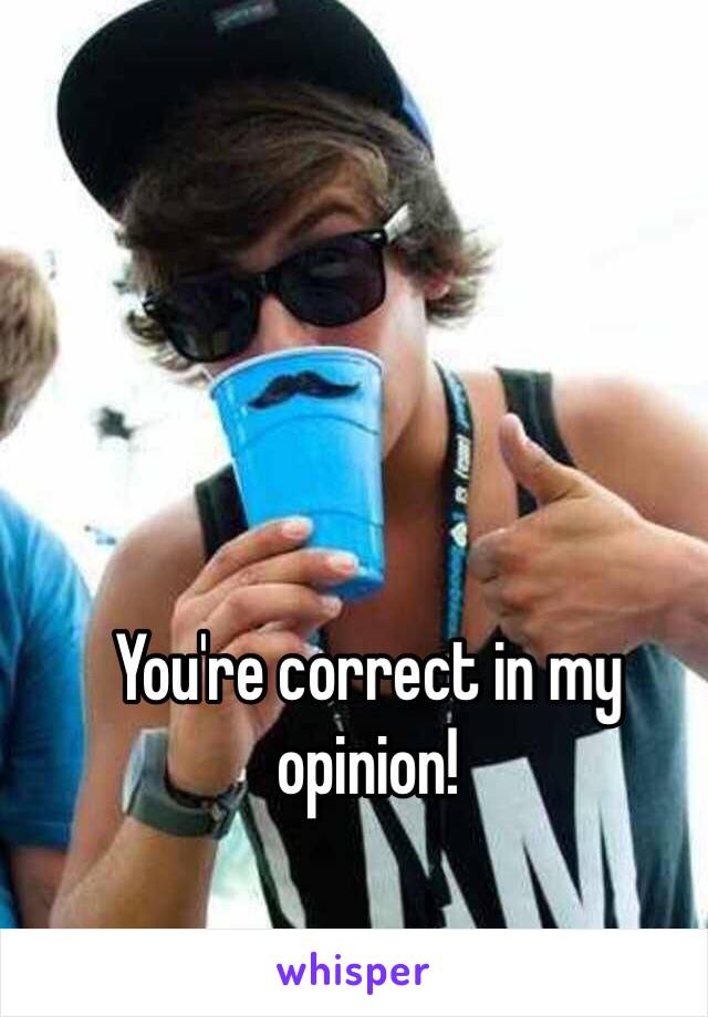 You're correct in my opinion!