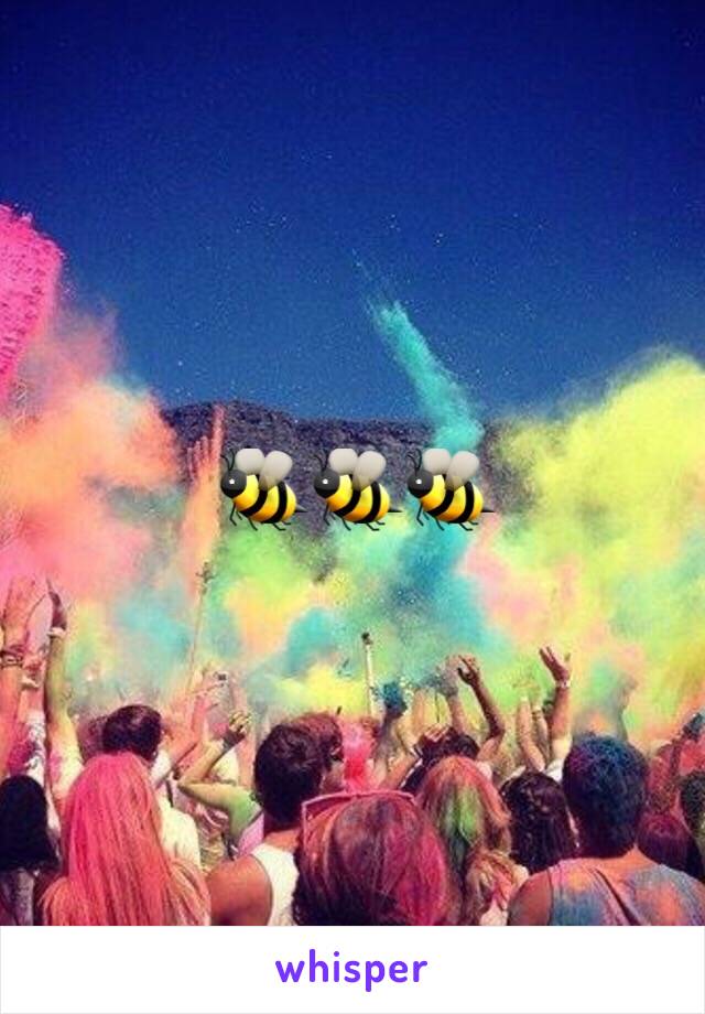 🐝🐝🐝