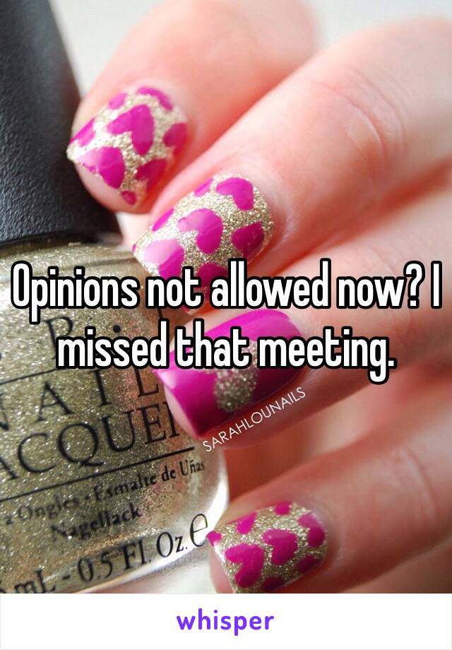 Opinions not allowed now? I missed that meeting.