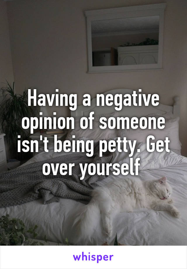 Having a negative opinion of someone isn't being petty. Get over yourself 