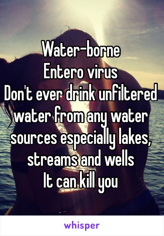 Water-borne 
Entero virus 
Don't ever drink unfiltered water from any water sources especially lakes, streams and wells 
It can kill you 