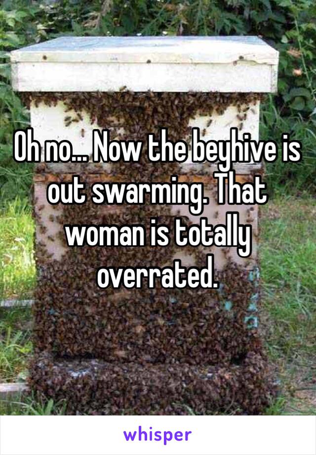 Oh no... Now the beyhive is out swarming. That woman is totally overrated. 