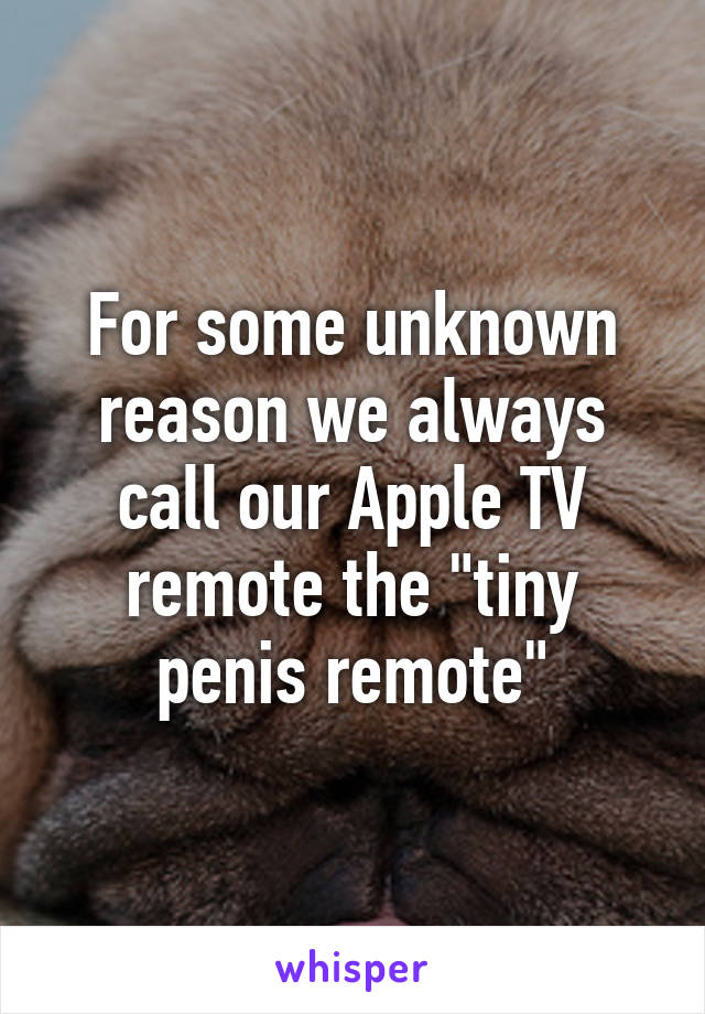 For some unknown reason we always call our Apple TV remote the "tiny penis remote"