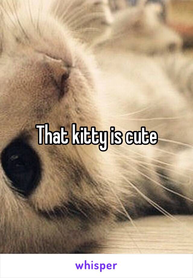 That kitty is cute