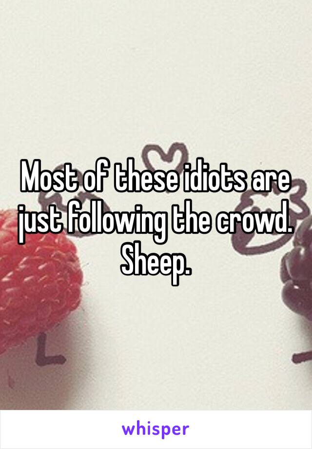 Most of these idiots are just following the crowd.
Sheep.