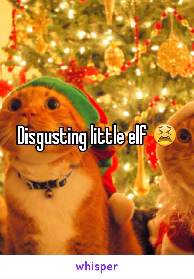 Disgusting little elf 😫