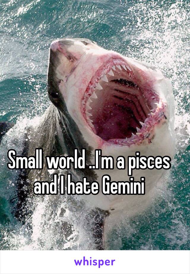 Small world ..I'm a pisces and I hate Gemini 