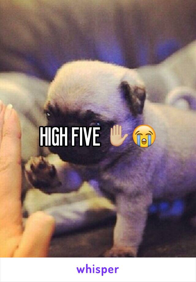 HIGH FIVE ✋🏼😭