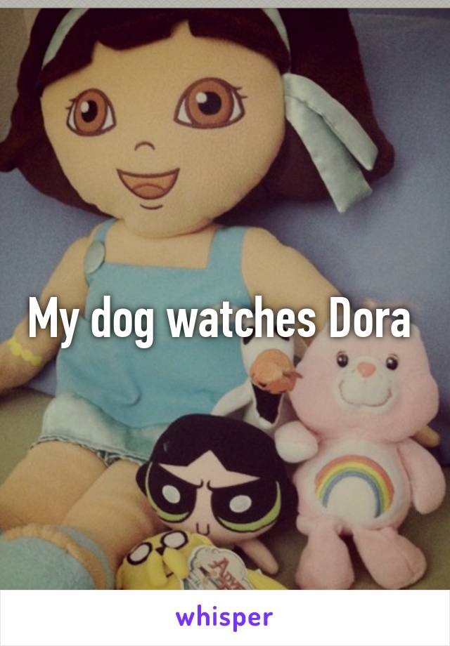 My dog watches Dora 