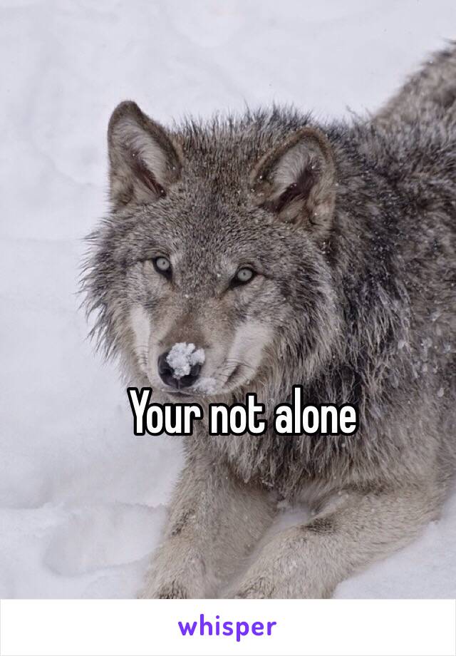 Your not alone