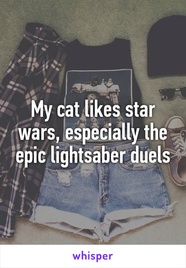 My cat likes star wars, especially the epic lightsaber duels