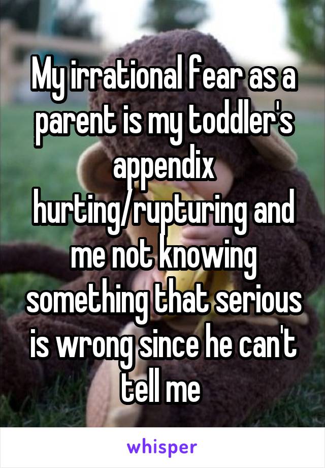 My irrational fear as a parent is my toddler's appendix hurting/rupturing and me not knowing something that serious is wrong since he can't tell me 