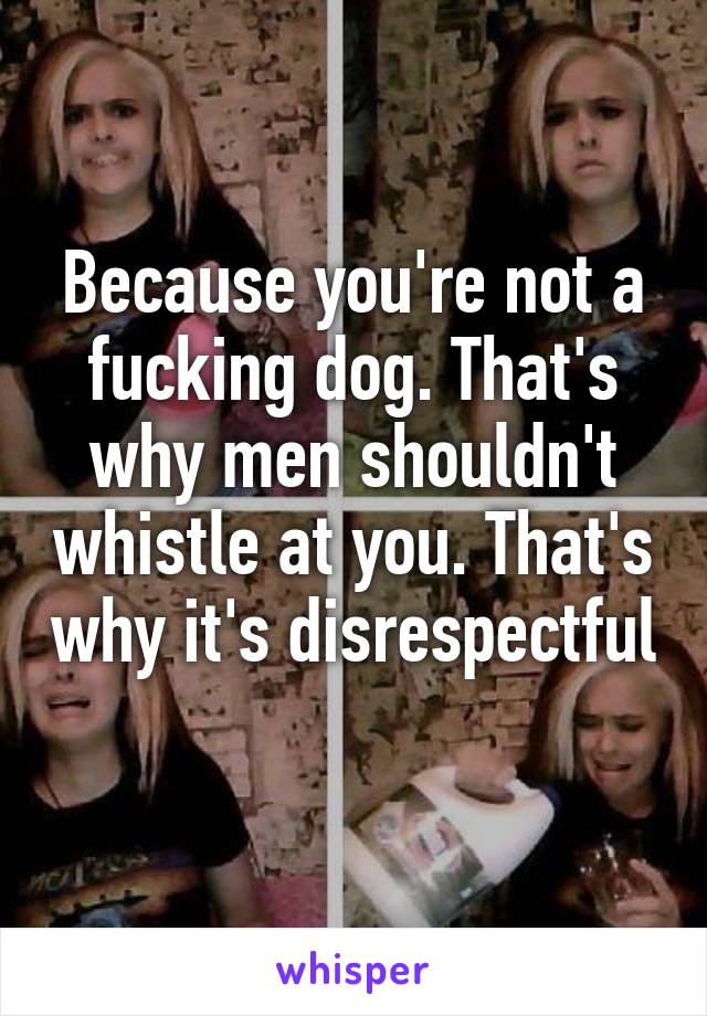 Because you're not a fucking dog. That's why men shouldn't whistle at you. That's why it's disrespectful 