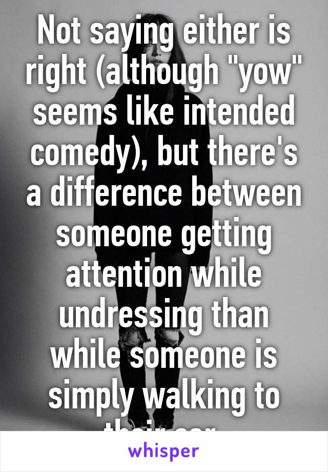 Not saying either is right (although "yow" seems like intended comedy), but there's a difference between someone getting attention while undressing than while someone is simply walking to their car.