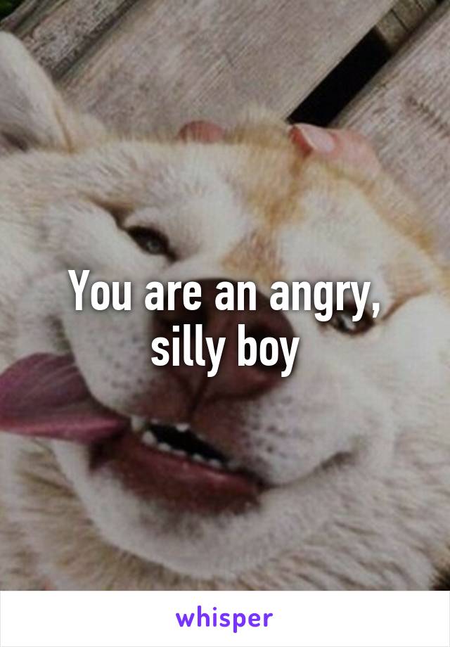 You are an angry, silly boy