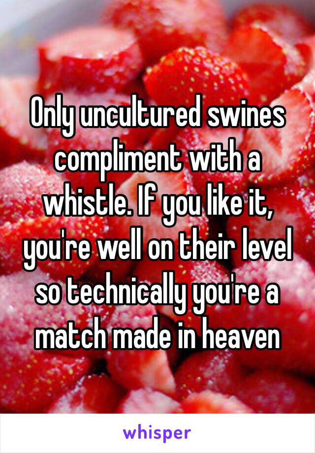 Only uncultured swines compliment with a whistle. If you like it, you're well on their level so technically you're a match made in heaven 