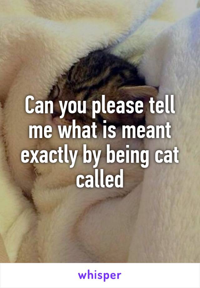 Can you please tell me what is meant exactly by being cat called