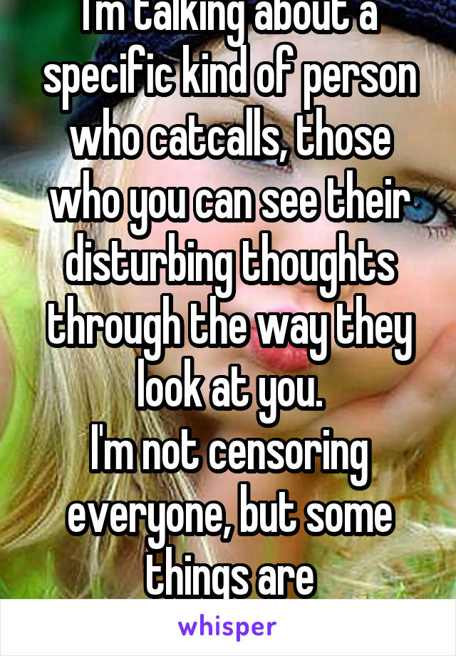 I'm talking about a specific kind of person who catcalls, those who you can see their disturbing thoughts through the way they look at you.
I'm not censoring everyone, but some things are disrespectful.