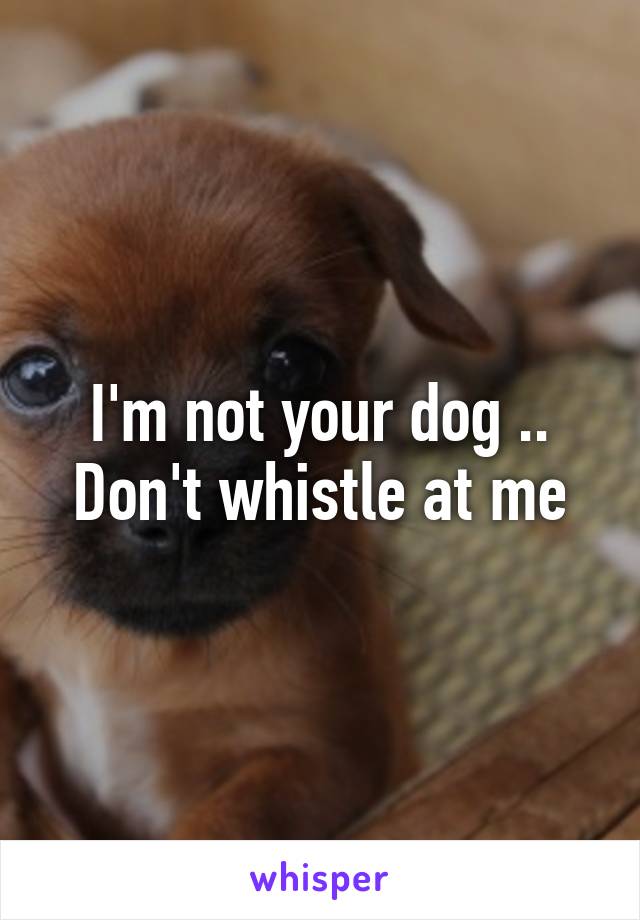 I'm not your dog .. Don't whistle at me