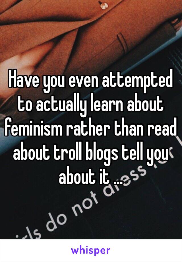 Have you even attempted to actually learn about feminism rather than read about troll blogs tell you about it ...