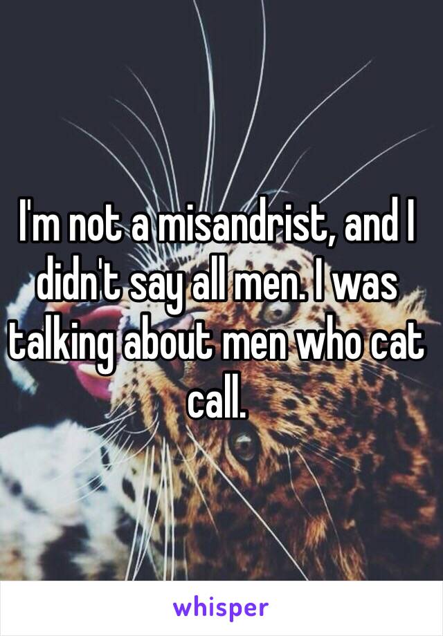 I'm not a misandrist, and I didn't say all men. I was talking about men who cat call.