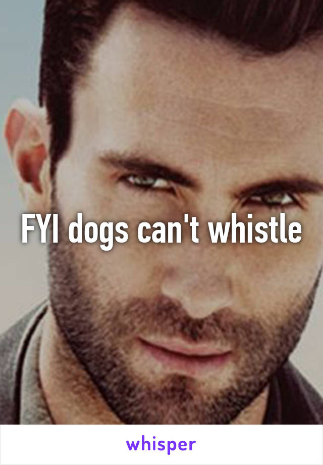 FYI dogs can't whistle