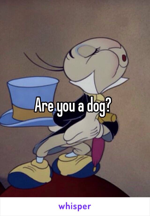 Are you a dog? 