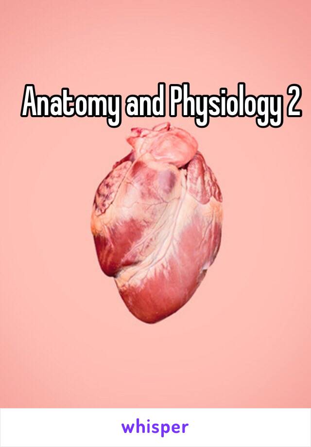 Anatomy and Physiology 2