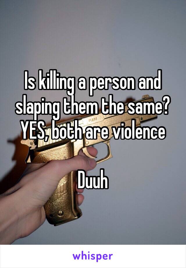 Is killing a person and slaping them the same? YES, both are violence

Duuh