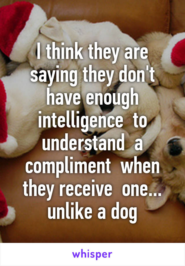 I think they are saying they don't have enough intelligence  to understand  a compliment  when they receive  one... unlike a dog