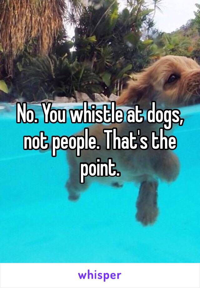 No. You whistle at dogs, not people. That's the point. 