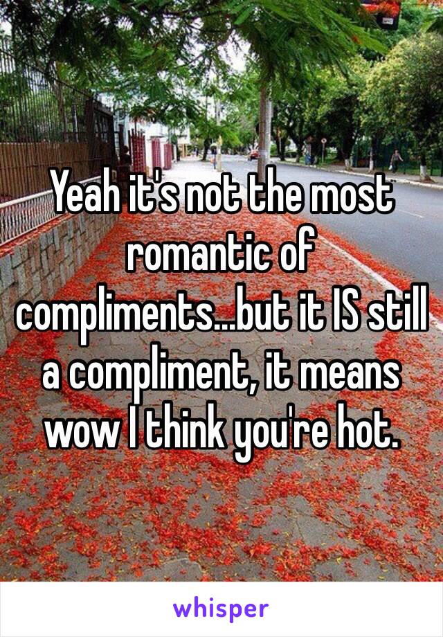 Yeah it's not the most romantic of compliments...but it IS still a compliment, it means wow I think you're hot. 