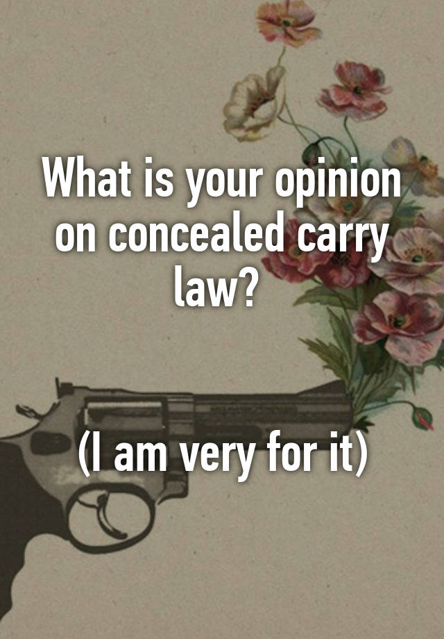 What is your opinion on concealed carry law? 


(I am very for it)