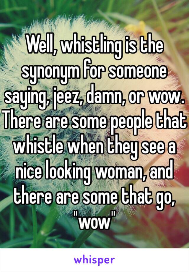 Well, whistling is the synonym for someone saying, jeez, damn, or wow.
There are some people that whistle when they see a nice looking woman, and there are some that go, "wow"