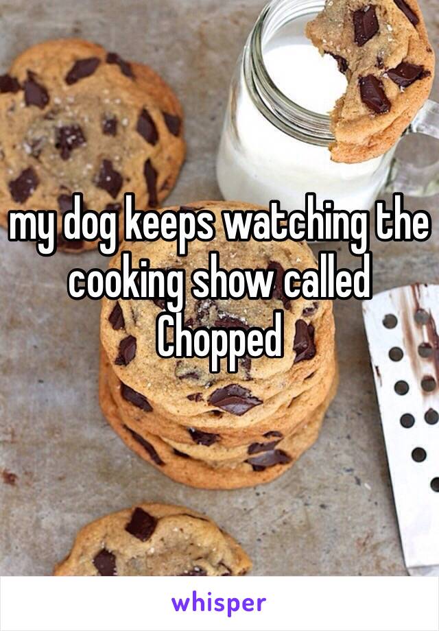 my dog keeps watching the cooking show called 
Chopped
