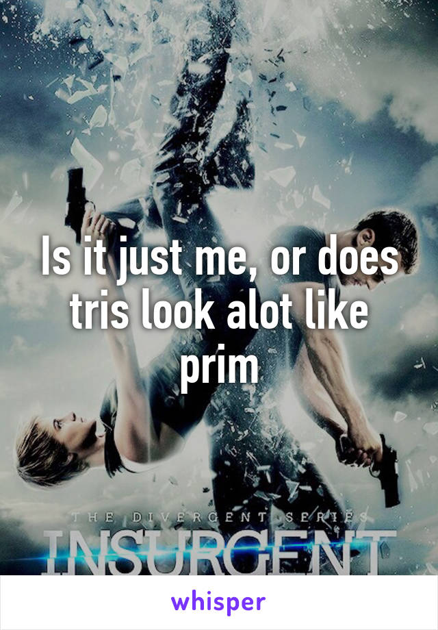 Is it just me, or does tris look alot like prim