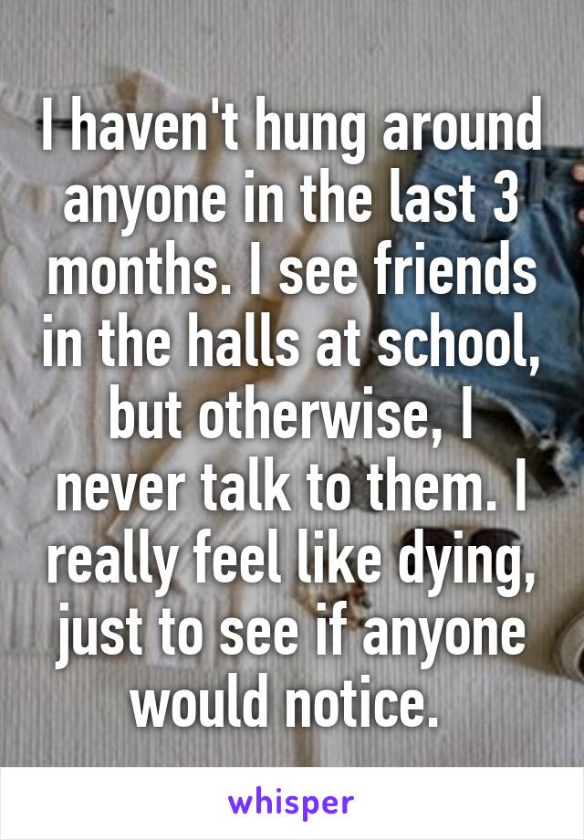 I haven't hung around anyone in the last 3 months. I see friends in the halls at school, but otherwise, I never talk to them. I really feel like dying, just to see if anyone would notice. 