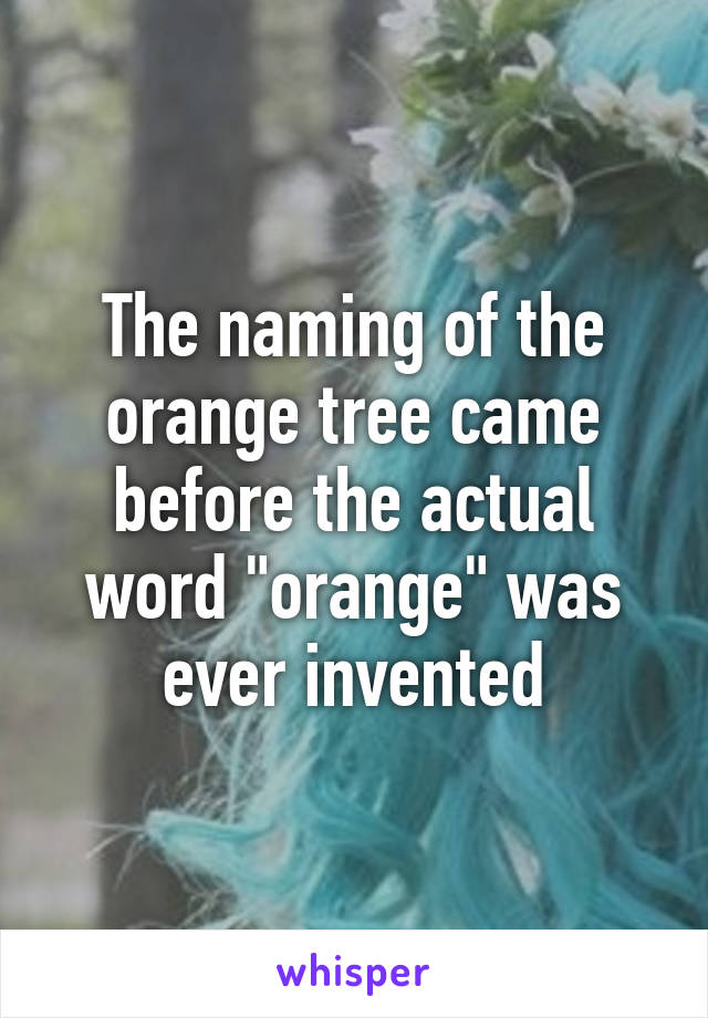 The naming of the orange tree came before the actual word "orange" was ever invented