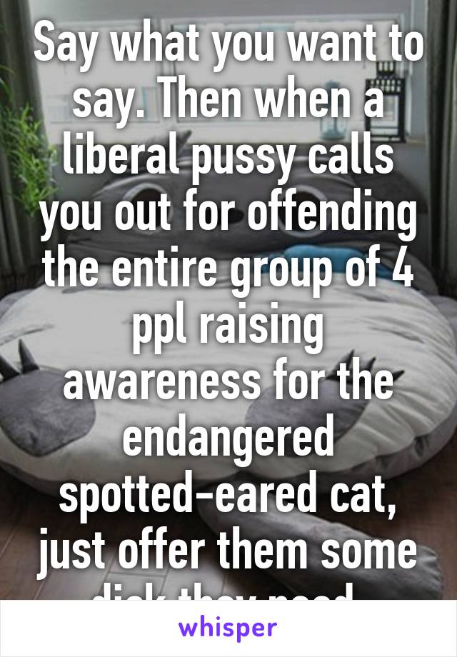 Say what you want to say. Then when a liberal pussy calls you out for offending the entire group of 4 ppl raising awareness for the endangered spotted-eared cat, just offer them some dick they need.