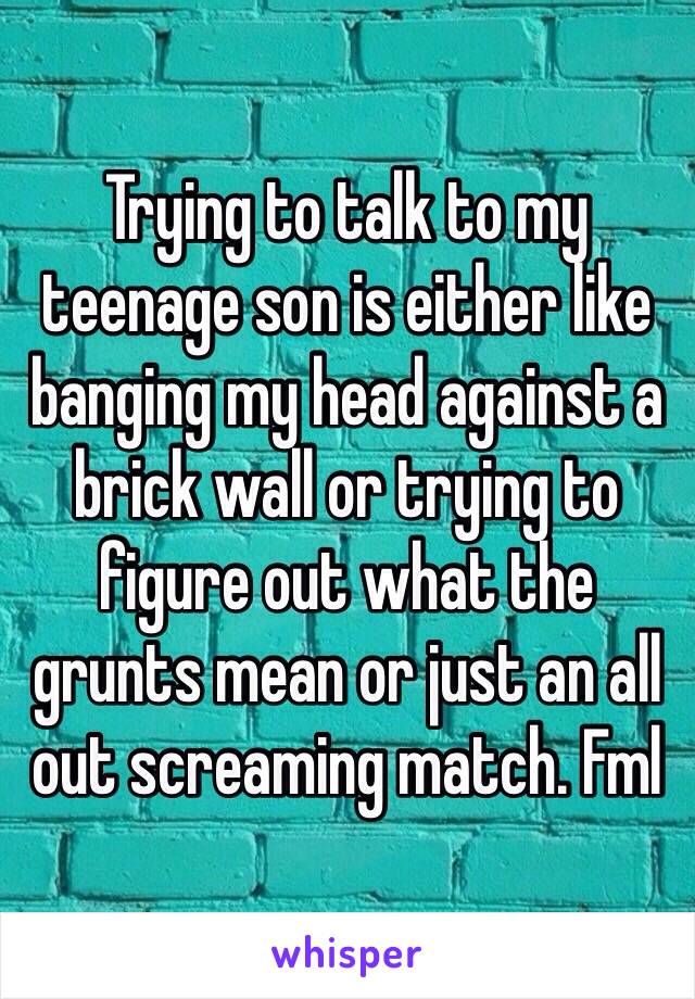 Trying to talk to my teenage son is either like banging my head against a brick wall or trying to figure out what the grunts mean or just an all out screaming match. Fml 