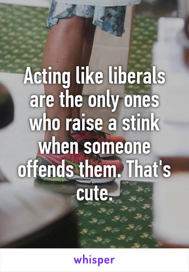 Acting like liberals are the only ones who raise a stink when someone offends them. That's cute.