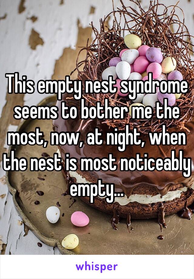 This empty nest syndrome seems to bother me the most, now, at night, when the nest is most noticeably empty...