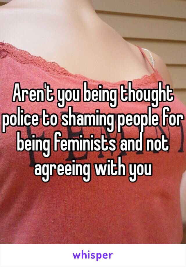 Aren't you being thought police to shaming people for being feminists and not agreeing with you 