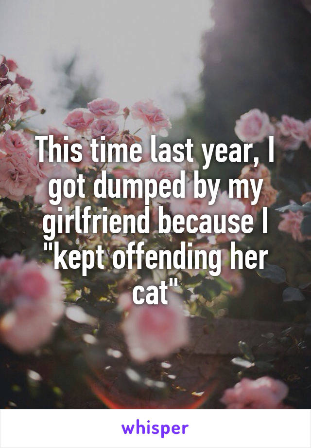 This time last year, I got dumped by my girlfriend because I "kept offending her cat"