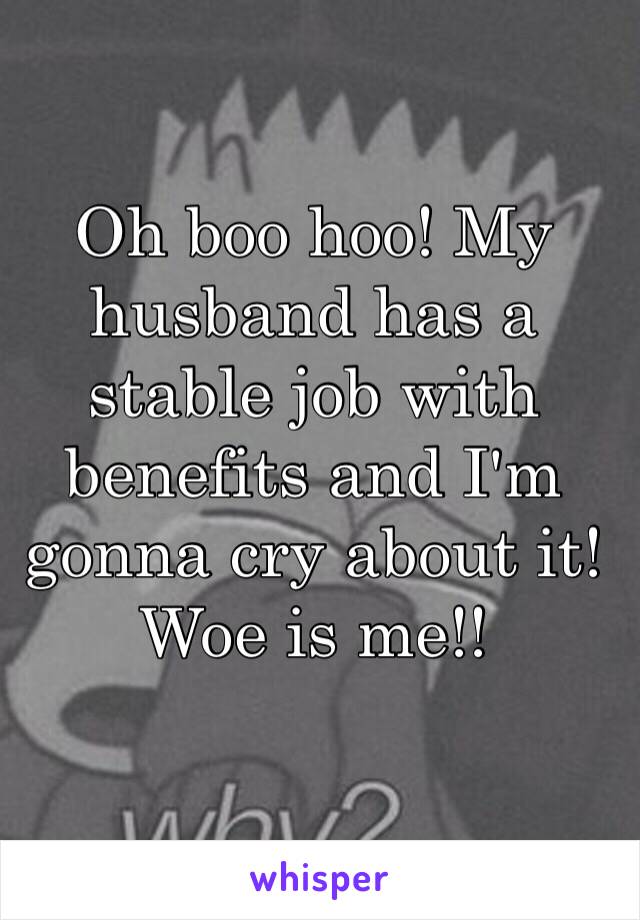Oh boo hoo! My husband has a stable job with benefits and I'm gonna cry about it! Woe is me!!