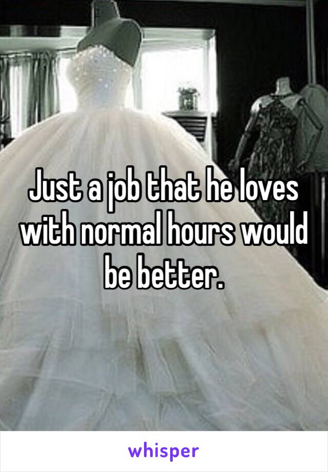 Just a job that he loves with normal hours would be better.
