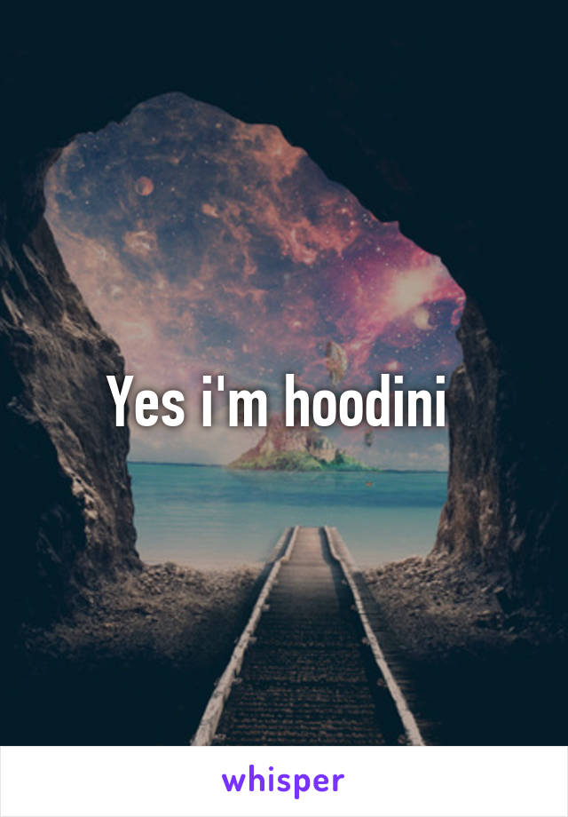 Yes i'm hoodini 